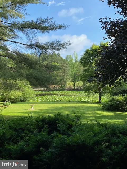 7225 Courthouse Road Spotsylvania, VA 22551 - Photo 13 of 33 Gallery Image 13