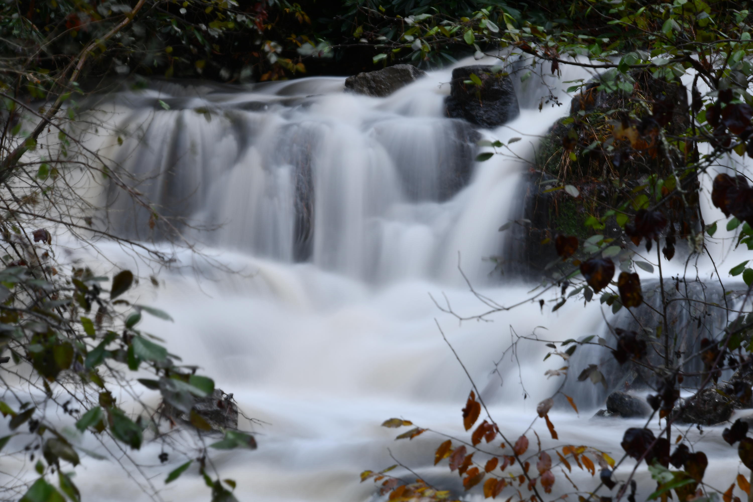 2006 Chilhowee Loop Walland, TN 37886 - Photo 23 of 25 Waterfall