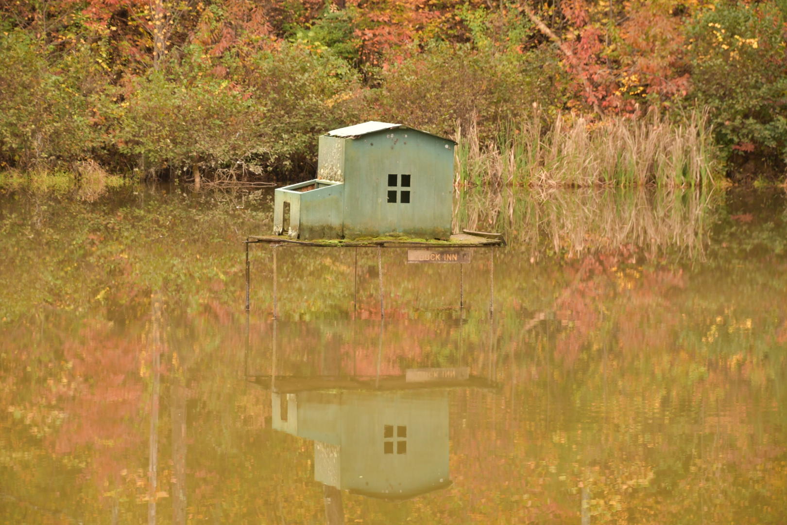 2006 Chilhowee Loop Walland, TN 37886 - Photo 25 of 25 The Duck Inn