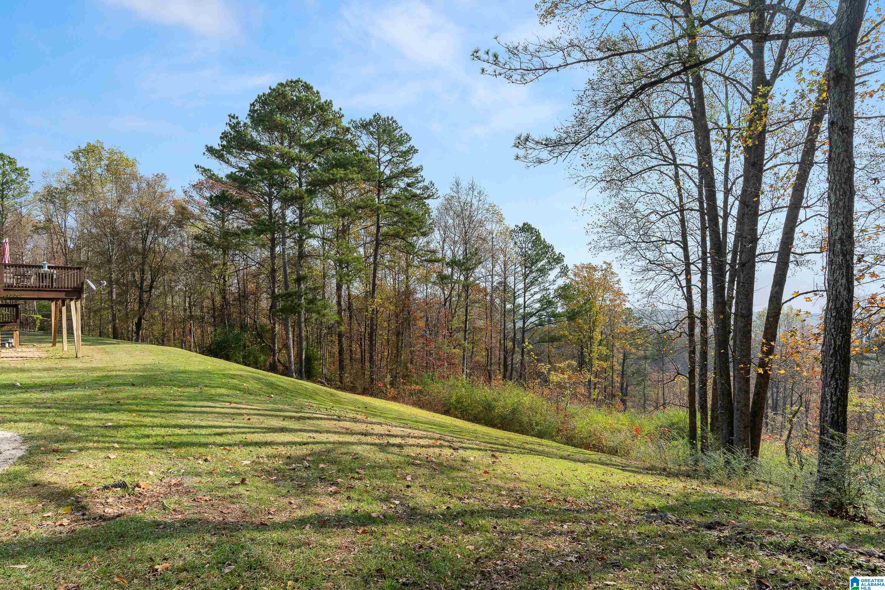 600 Honeysuckle Lane Springville, AL 35146 - Photo 69 of 77