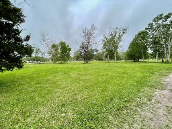 a view of a grassy field with trees