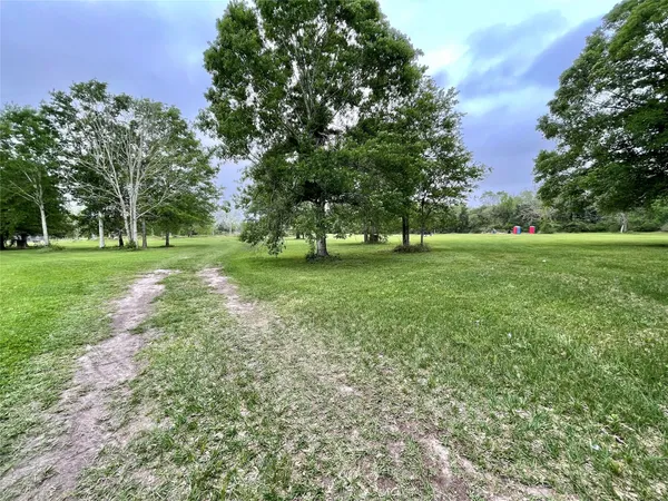 a view of a big yard with a large trees