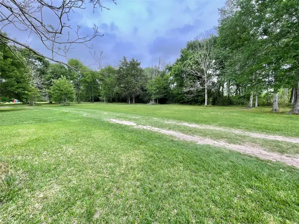 a view of a big yard with a large trees
