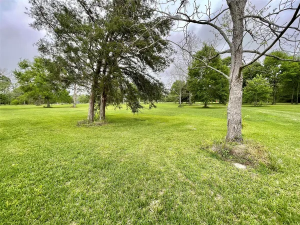 a view of field with trees in the background