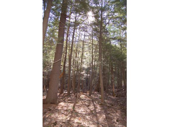 0 Winslow Road New London, NH 03257 - Photo 2 of 9