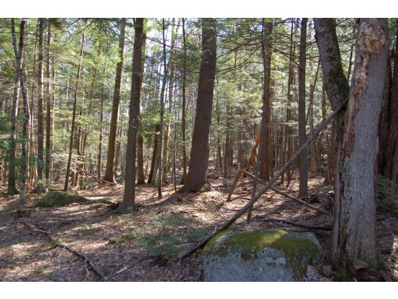 0 Winslow Road New London, NH 03257 - Photo 5 of 9