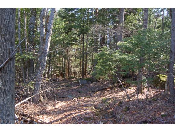0 Winslow Road New London, NH 03257 - Photo 6 of 9