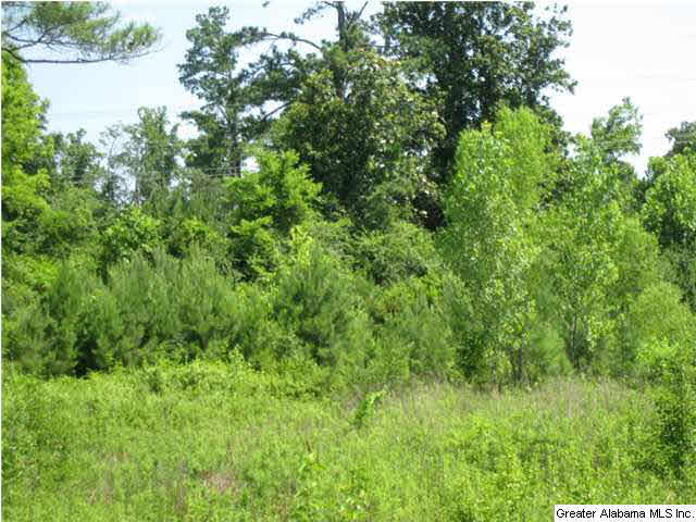 4441 Caldwell Mill Road, Unit 3A Birmingham, AL 35243 - Photo 1 of 1