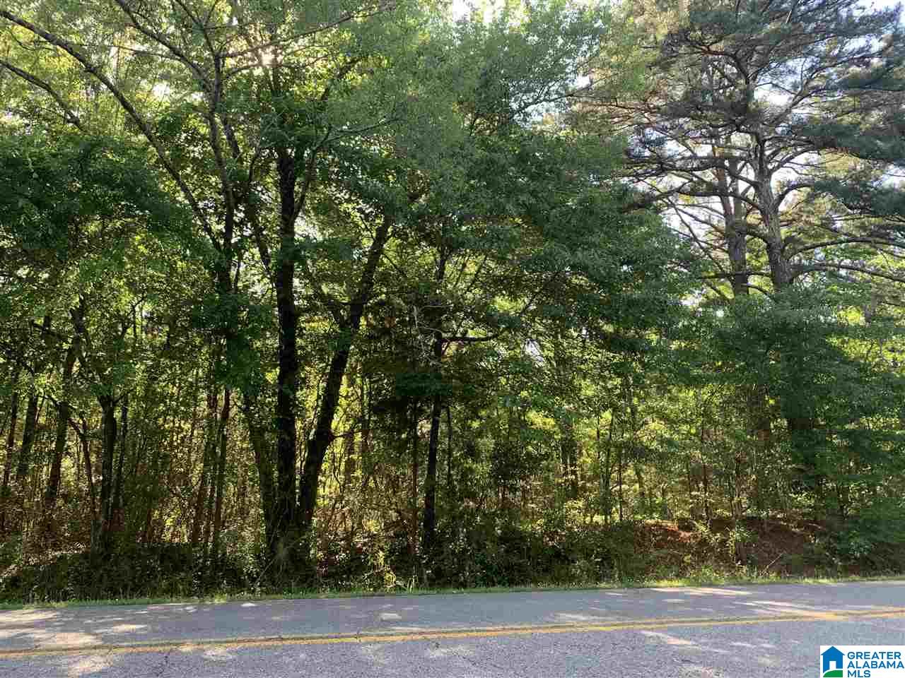 78 Highway Riverside, AL 35135 - Photo 3 of 23