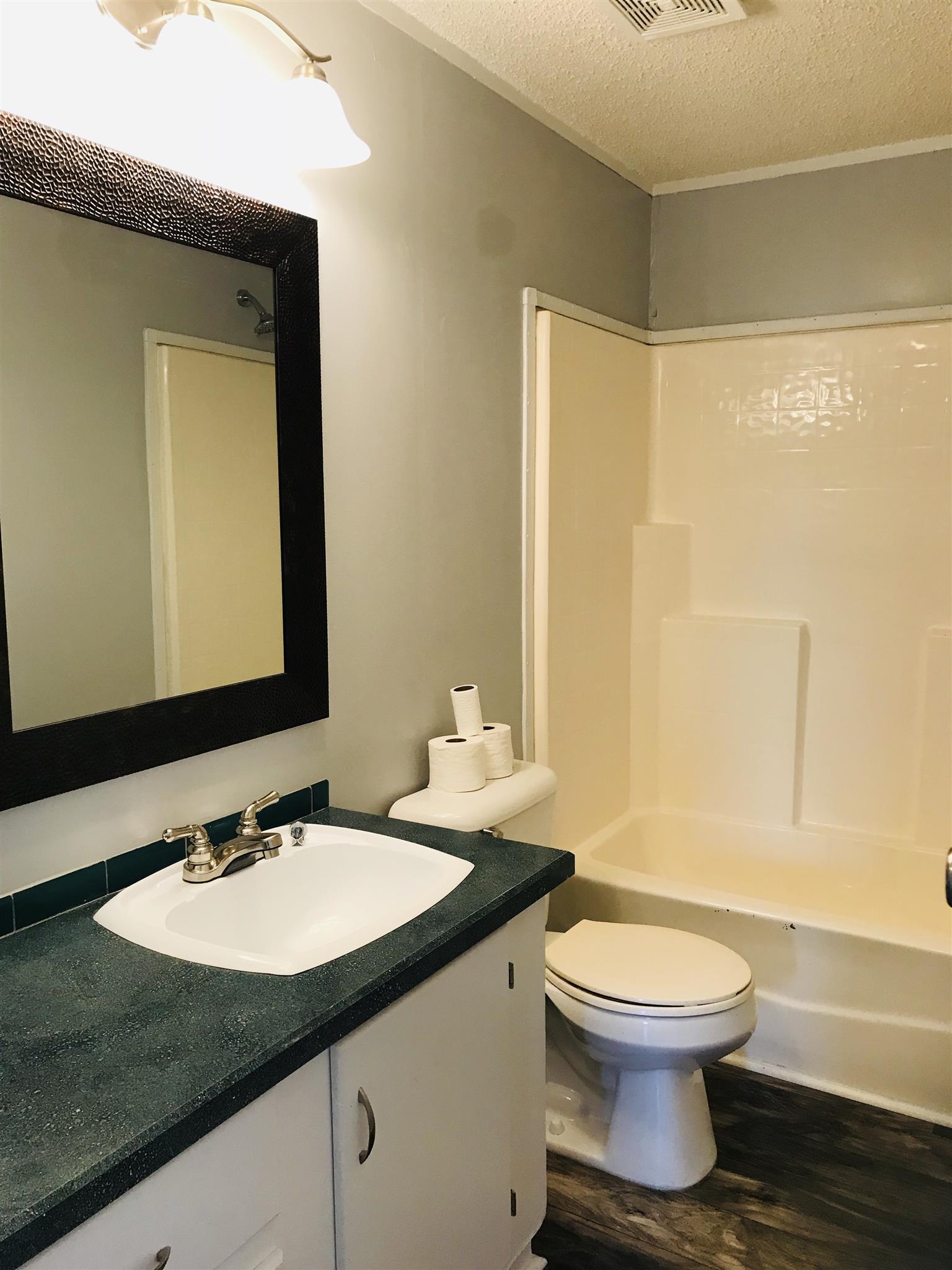 145 Absher Road Portland, TN 37148 - Photo 15 of 22 a bathroom with a sink a toilet and shower