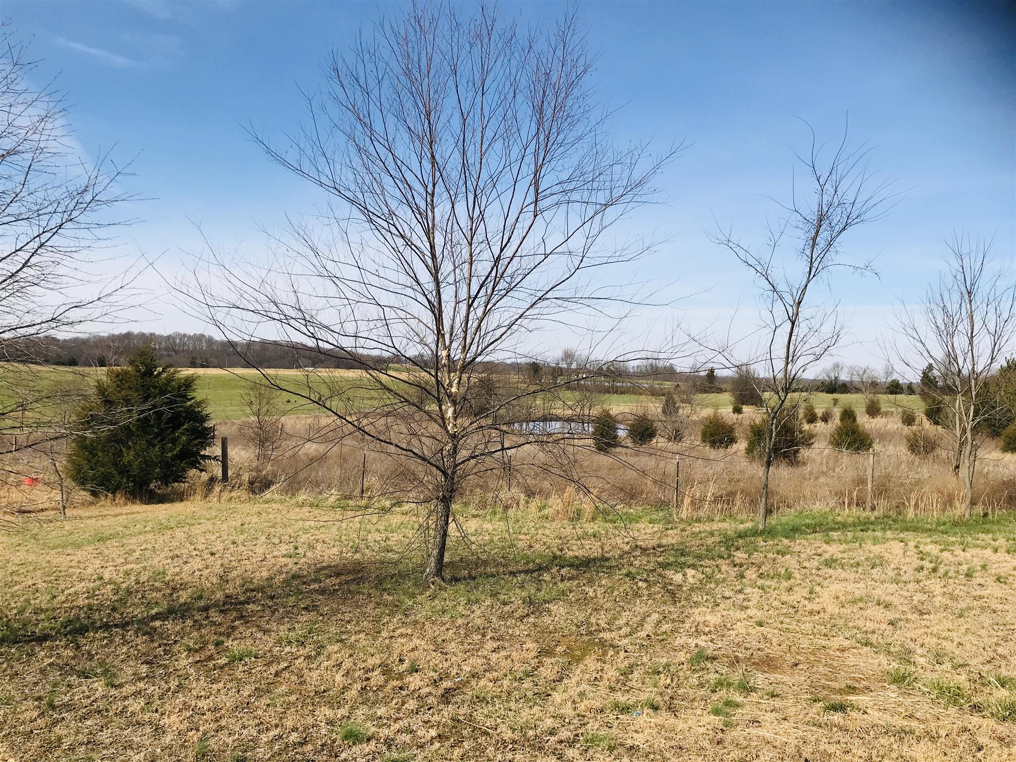 145 Absher Road Portland, TN 37148 - Photo 22 of 22 a view of yard covered with snow in front of building