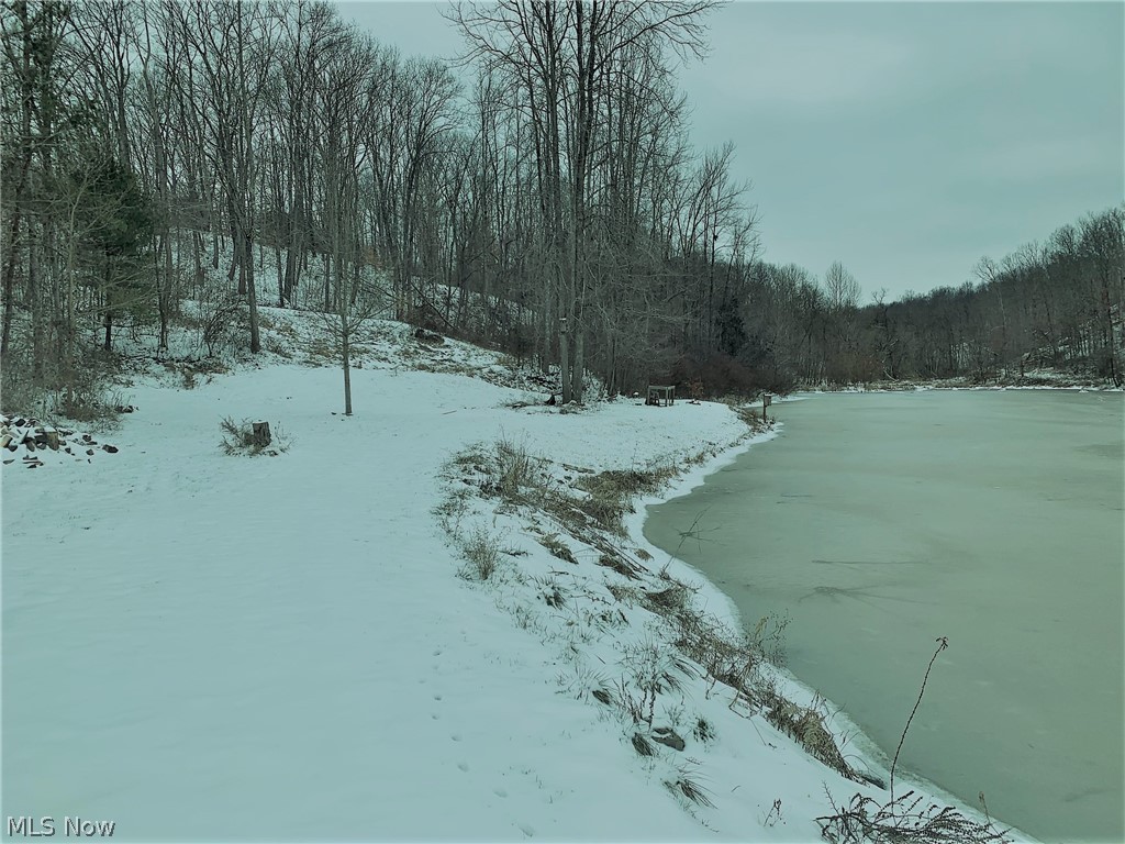 2003 Barth Road Belpre, OH 45714 - Photo 7 of 20 View to Woods and Pond