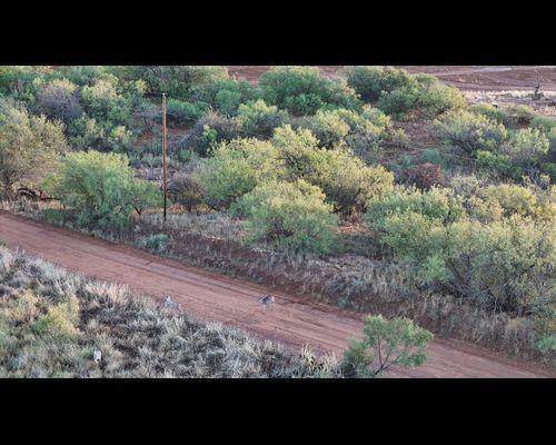 186 County Road Childress, TX 79201 - Photo 15 of 19 2-6556057606