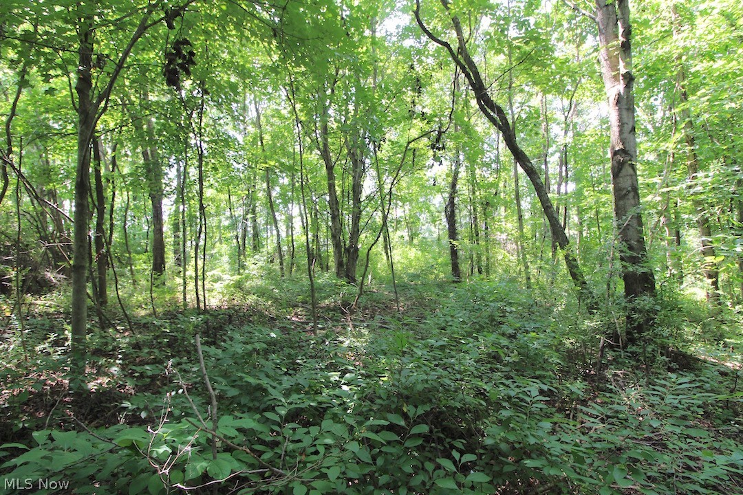 Union Hill Road Blue Rock, OH 43720 - Photo 22 of 35