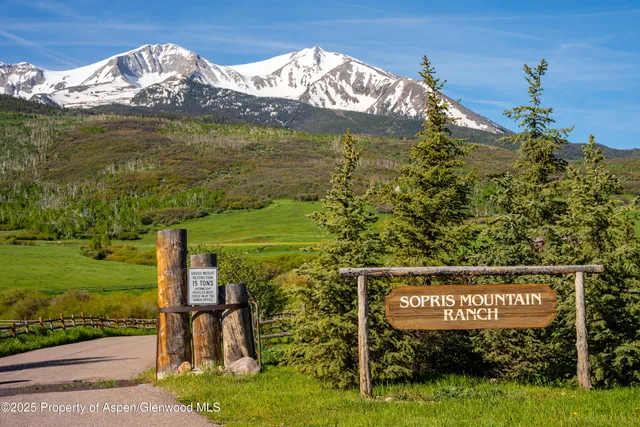 a view of yard with grass & fence