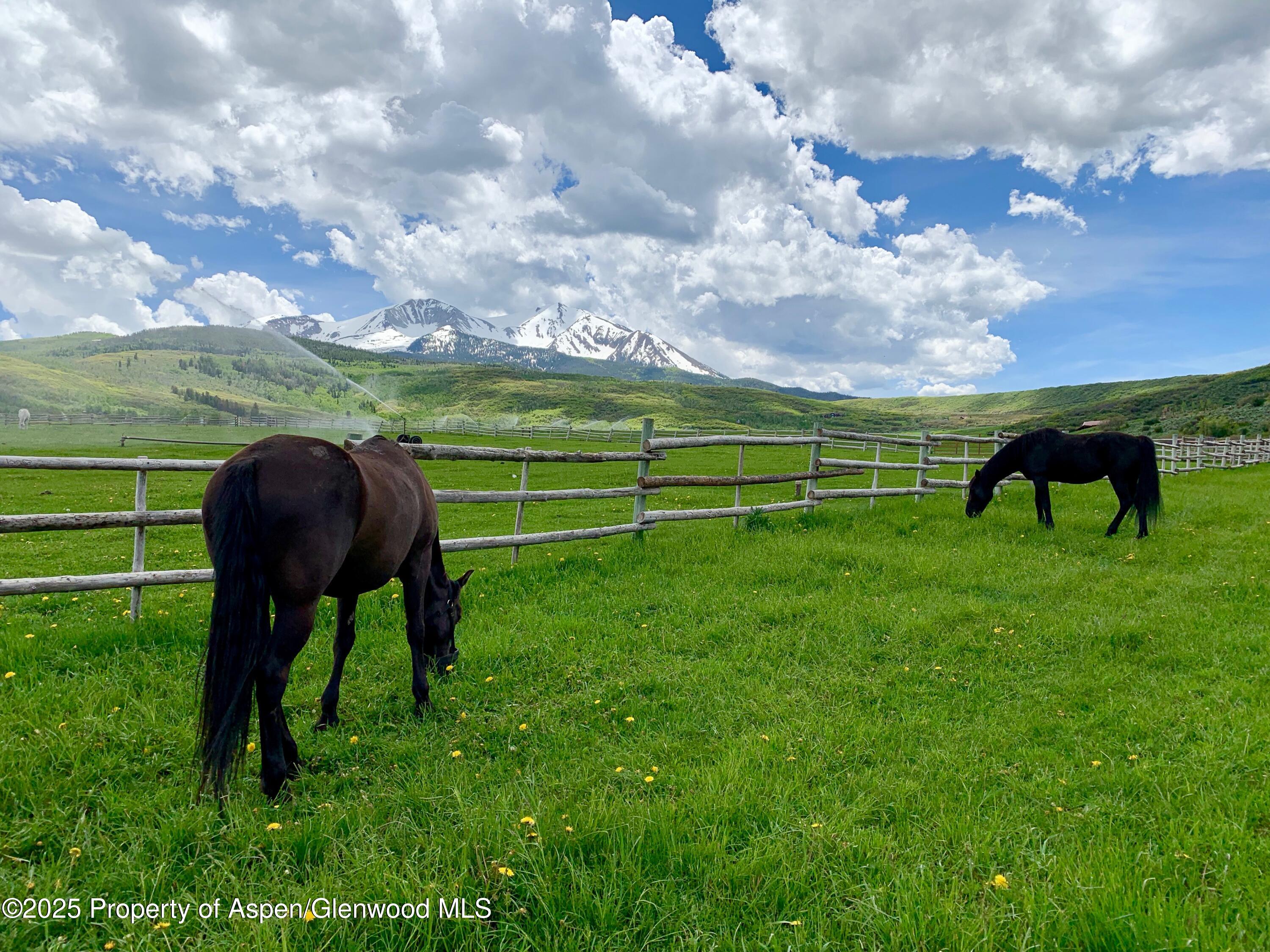 777 Old Herron Road Basalt, CO 81621 - Photo 47 of 48 a view of yard with grass & fence
