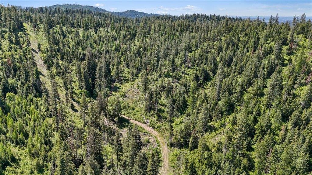 18-xxx East Miner Road Mead, WA 99021 - Photo 3 of 40