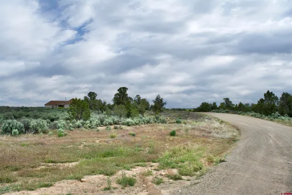 a view of a field with trees in background