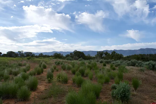 $80,000 | Lot 16 Road K 3 Cortez Co 81321, Cortez, CO 81321