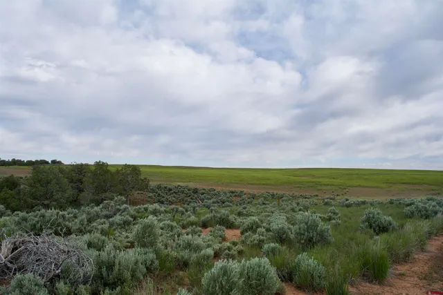 $80,000 | Lot 16 Road K 3 Cortez Co 81321, Cortez, CO 81321