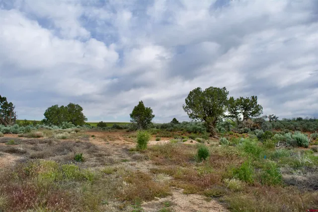 $80,000 | Lot 16 Road K 3 Cortez Co 81321, Cortez, CO 81321
