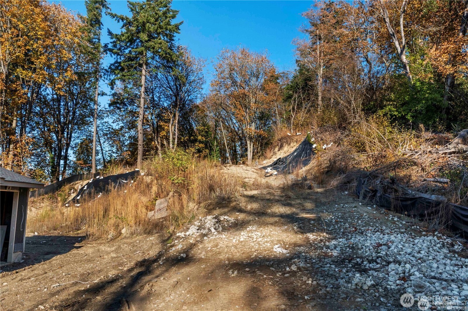 4910 South 111th Street Seattle, WA 98178 - Photo 10 of 18