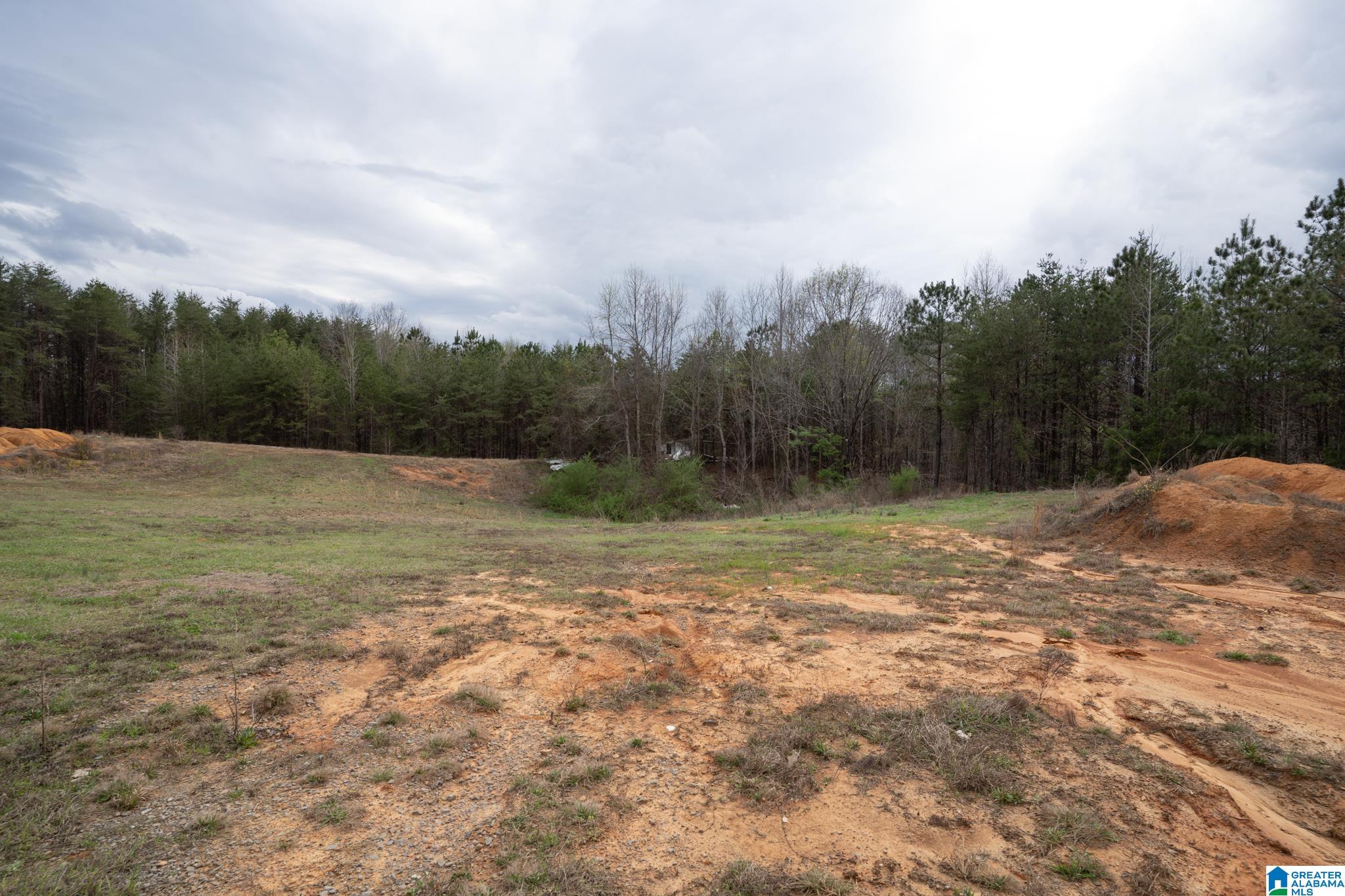 17571 Groundhog Road Adger, AL 35006 - Photo 92 of 94