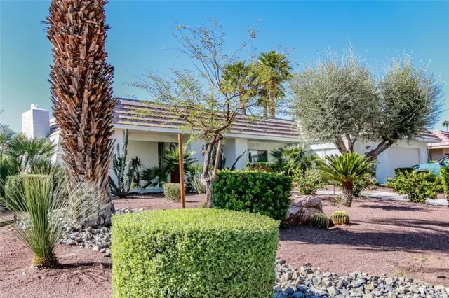 a view of a house with potted plants and a large tree
