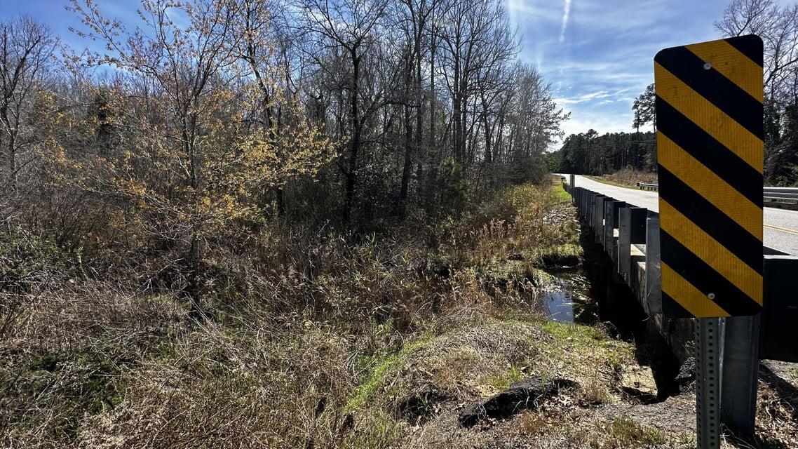 0 Davis Bridge Road Williston, SC 29853 - Photo 18 of 21
