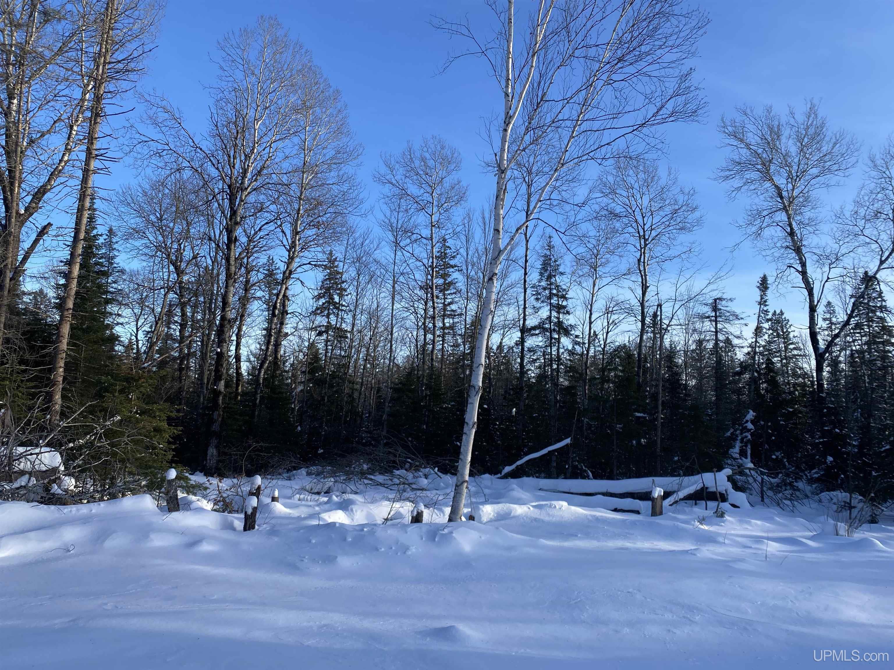 9114 South Johnson Road Bessemer, MI 49911 - Photo 6 of 17 Gallery Image 6