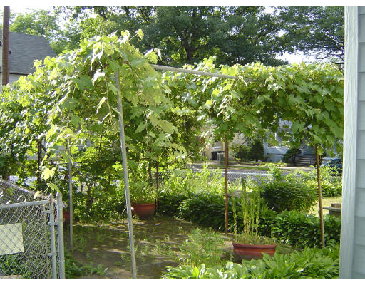 91-93 Orange Street Springfield, MA 01108 - Photo 4 of 17 a view of backyard with green space