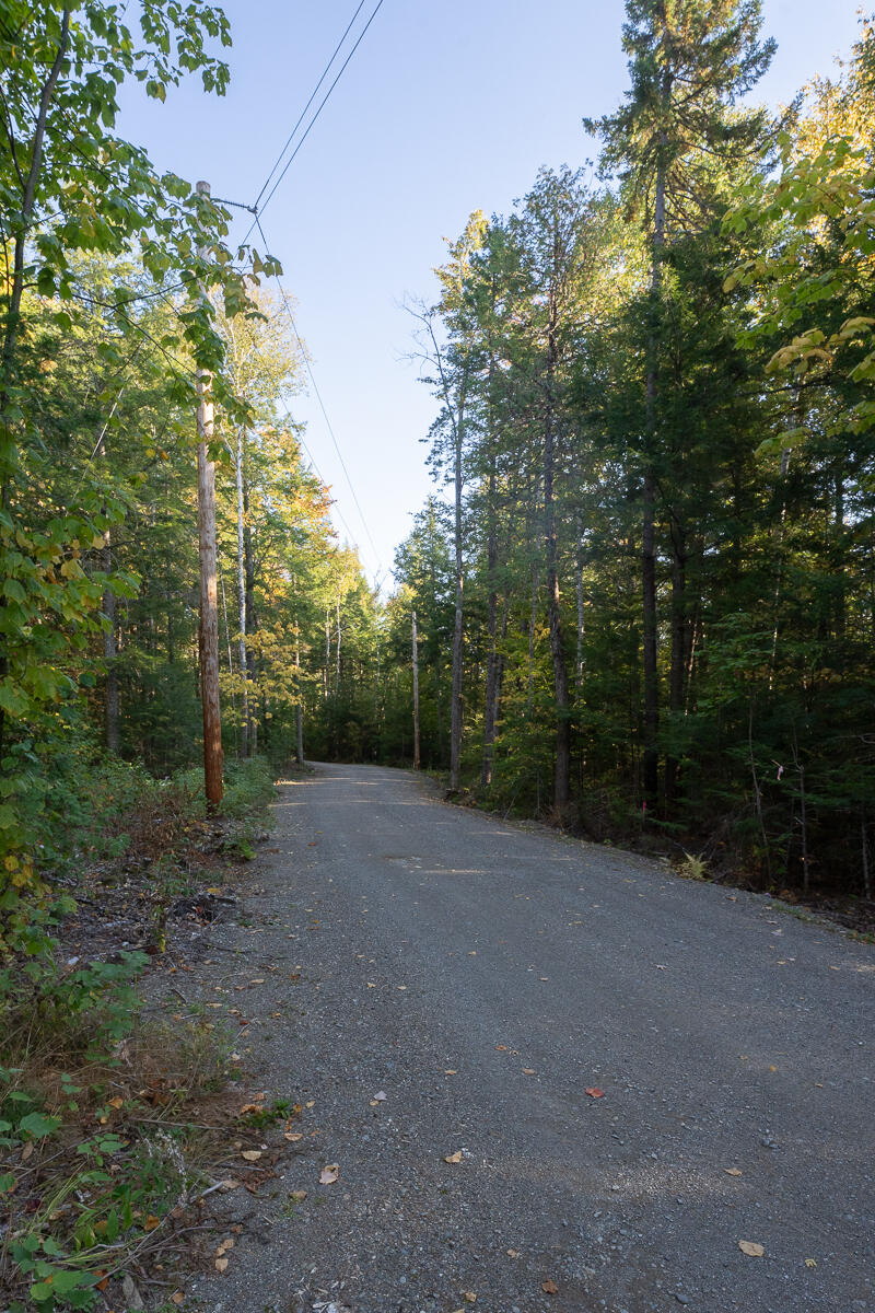Lot 4 Chadwick Pt Road Weston, ME 04424 - Photo 12 of 30