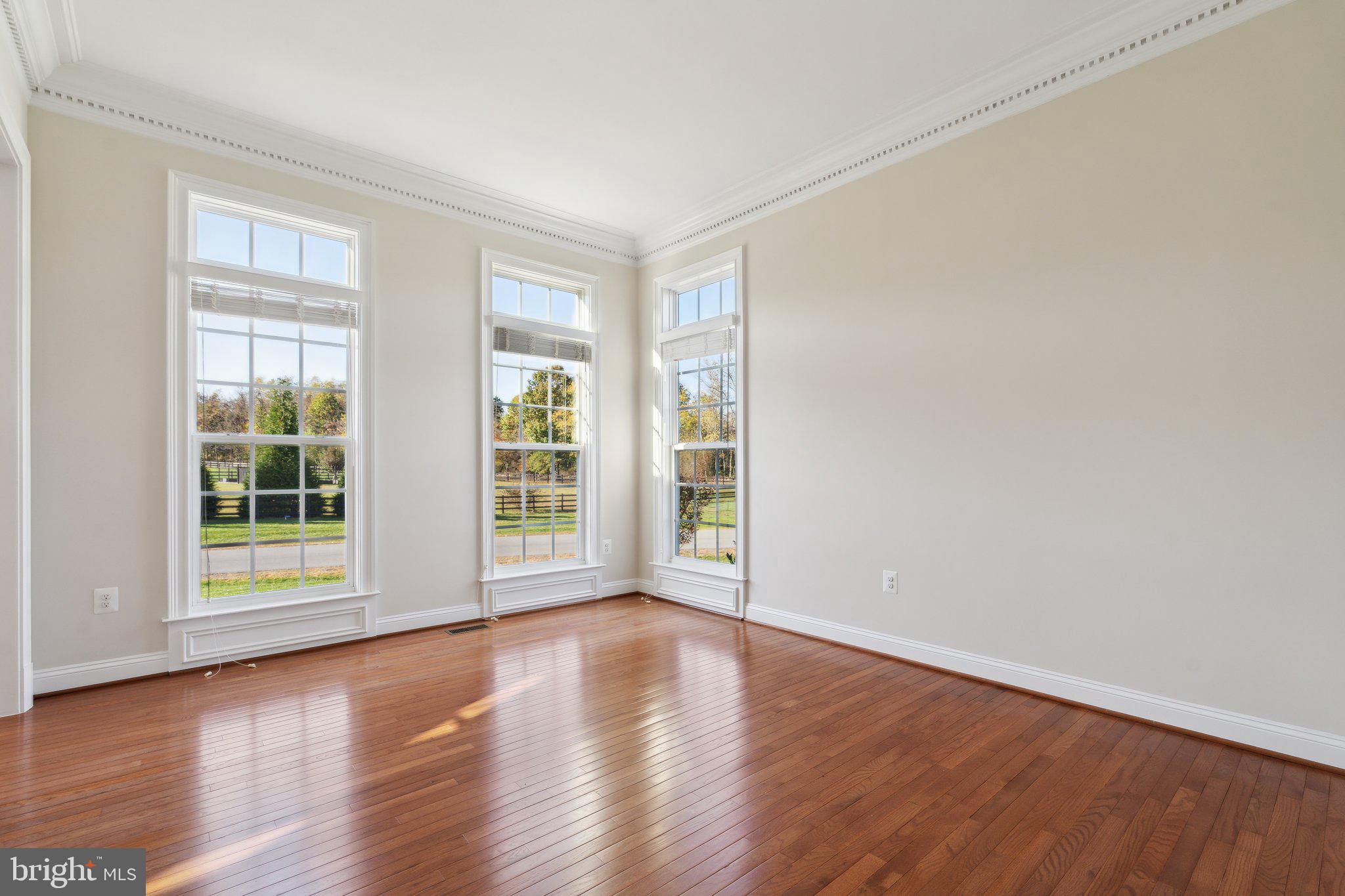 18325 Wild Raspberry Drive Purcellville, VA 20132 - Photo 24 of 76 living room with transom windows