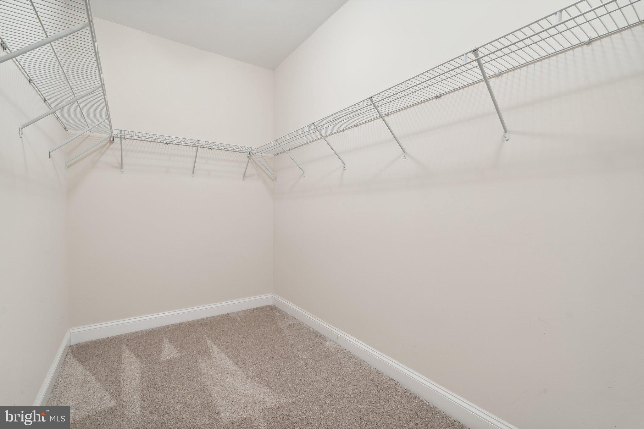 18325 Wild Raspberry Drive Purcellville, VA 20132 - Photo 35 of 76 huge walk in closet #1