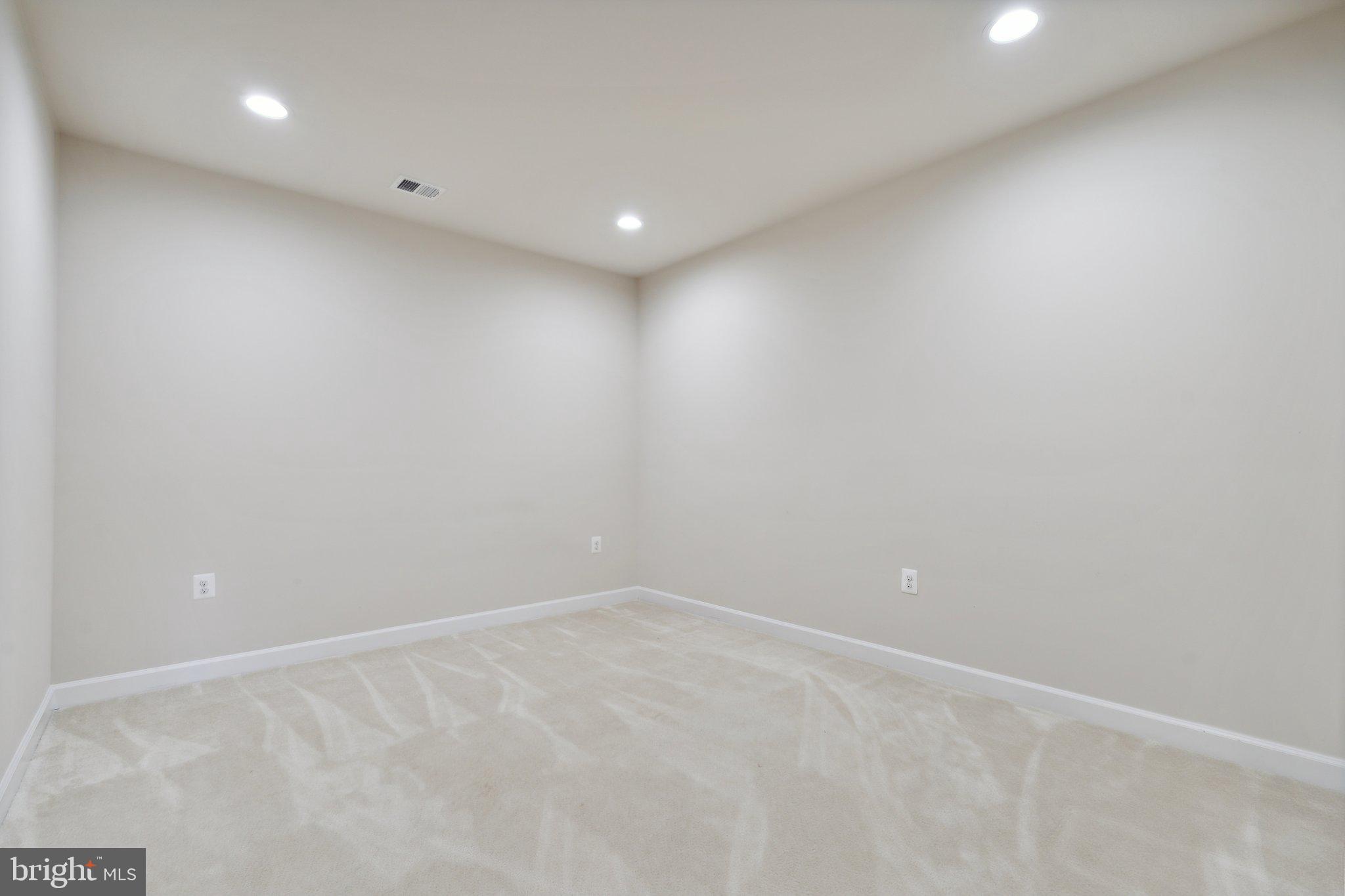 18325 Wild Raspberry Drive Purcellville, VA 20132 - Photo 49 of 76 another bonus room for storage