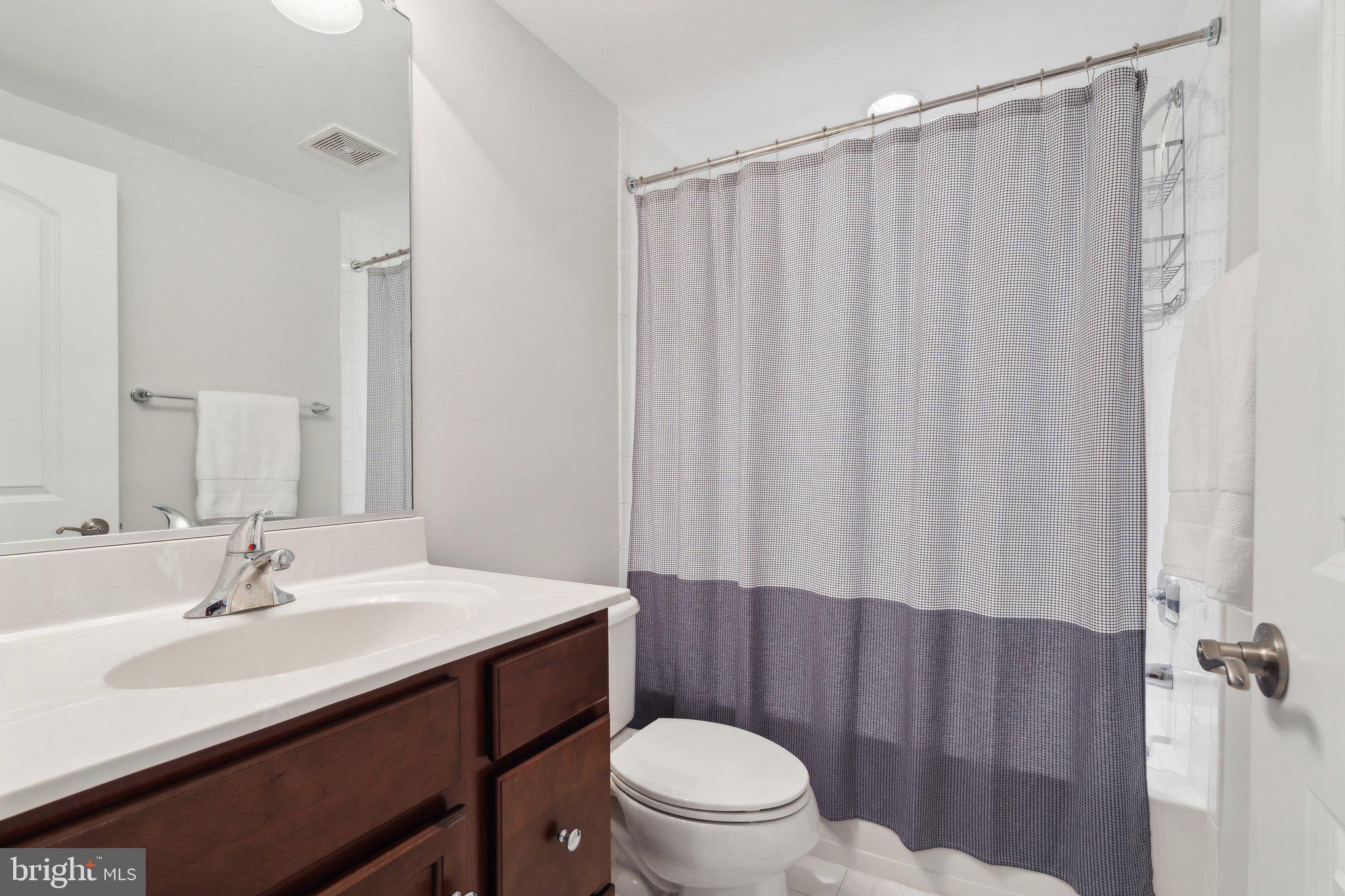 18325 Wild Raspberry Drive Purcellville, VA 20132 - Photo 52 of 76 full bath lower level
