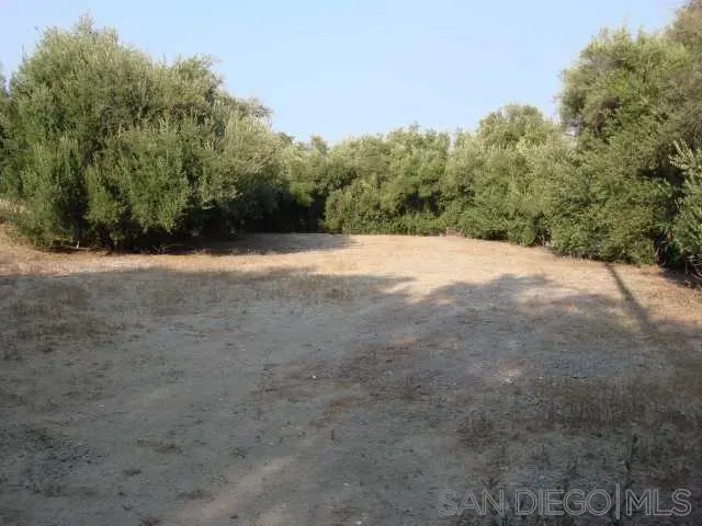 a view of a field with trees in the background