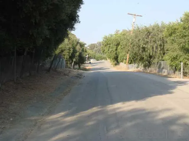 a view of road with large trees