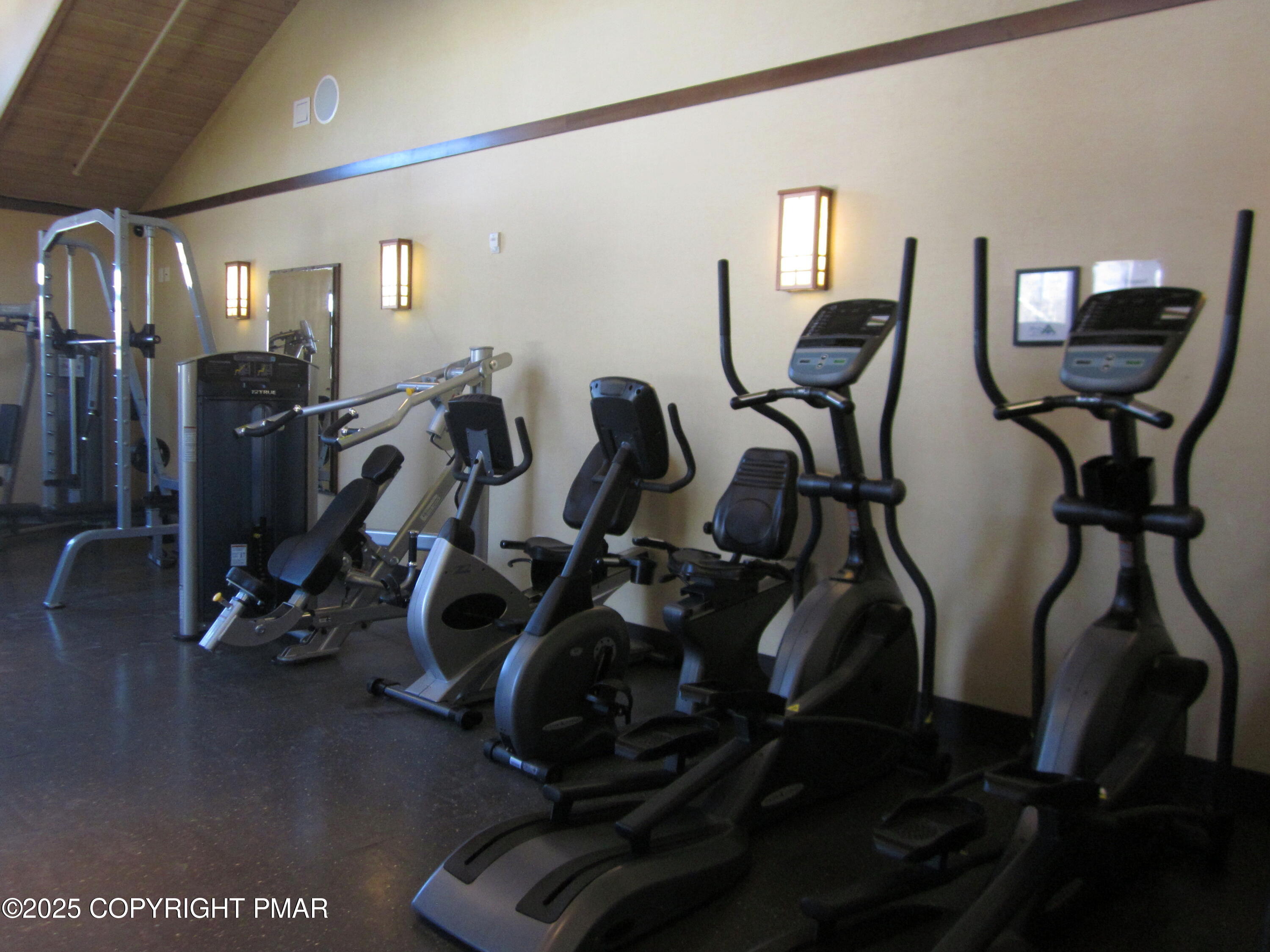 233 Pontiac Path Pocono Lake, PA 18347 - Photo 43 of 46 a view of a room with gym equipment