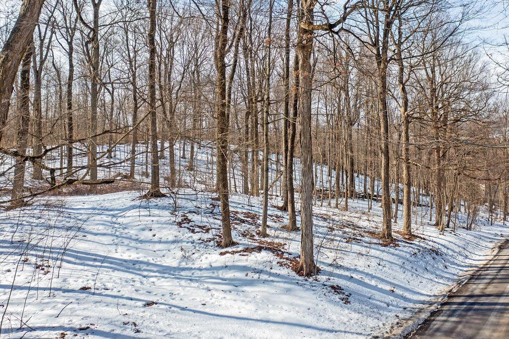 0 Eaglenest Road West Liberty, OH 43357 - Photo 28 of 45