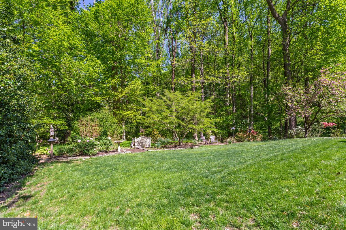 532 Epping Forest Road Annapolis, MD 21401 - Photo 51 of 62 Wooded Views