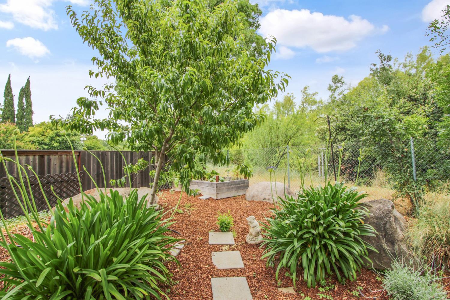 1418 Garrison Street Davis, CA 95616 - Photo 42 of 45