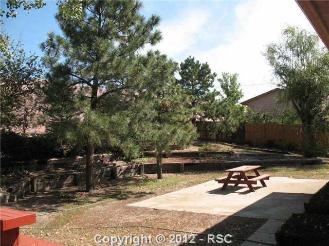 1308 Baron Road Colorado Springs, CO 80920 - Photo 17 of 19 Private Back Yard is Just Under 1/2 Acre