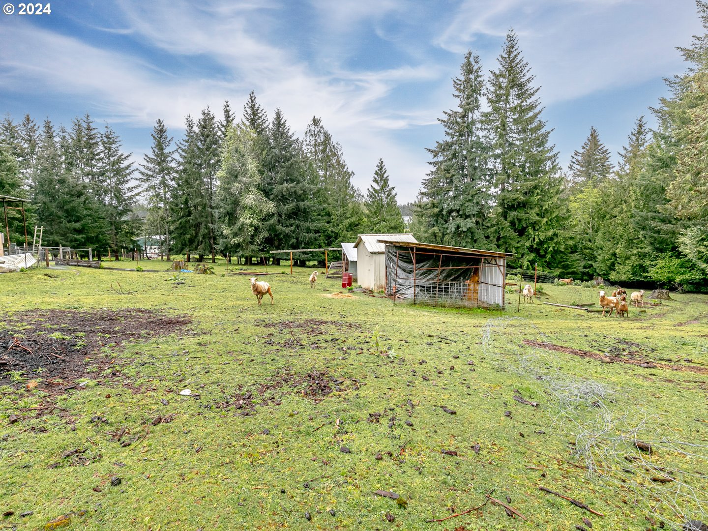 28939 Southeast Davis Road Estacada, OR 97023 - Photo 42 of 47 Gallery Image 42