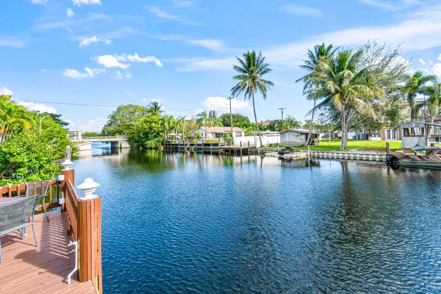 a view of a lake with boats and palm trees
