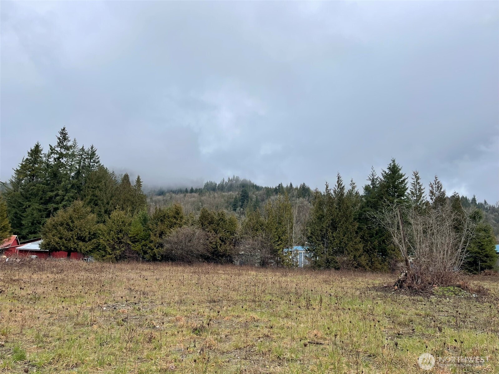 45075 Cedar Street Concrete, WA 98237 - Photo 1 of 18