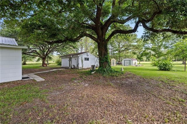 30235 George White Road Holden, LA 70744 - Photo 18 of 24