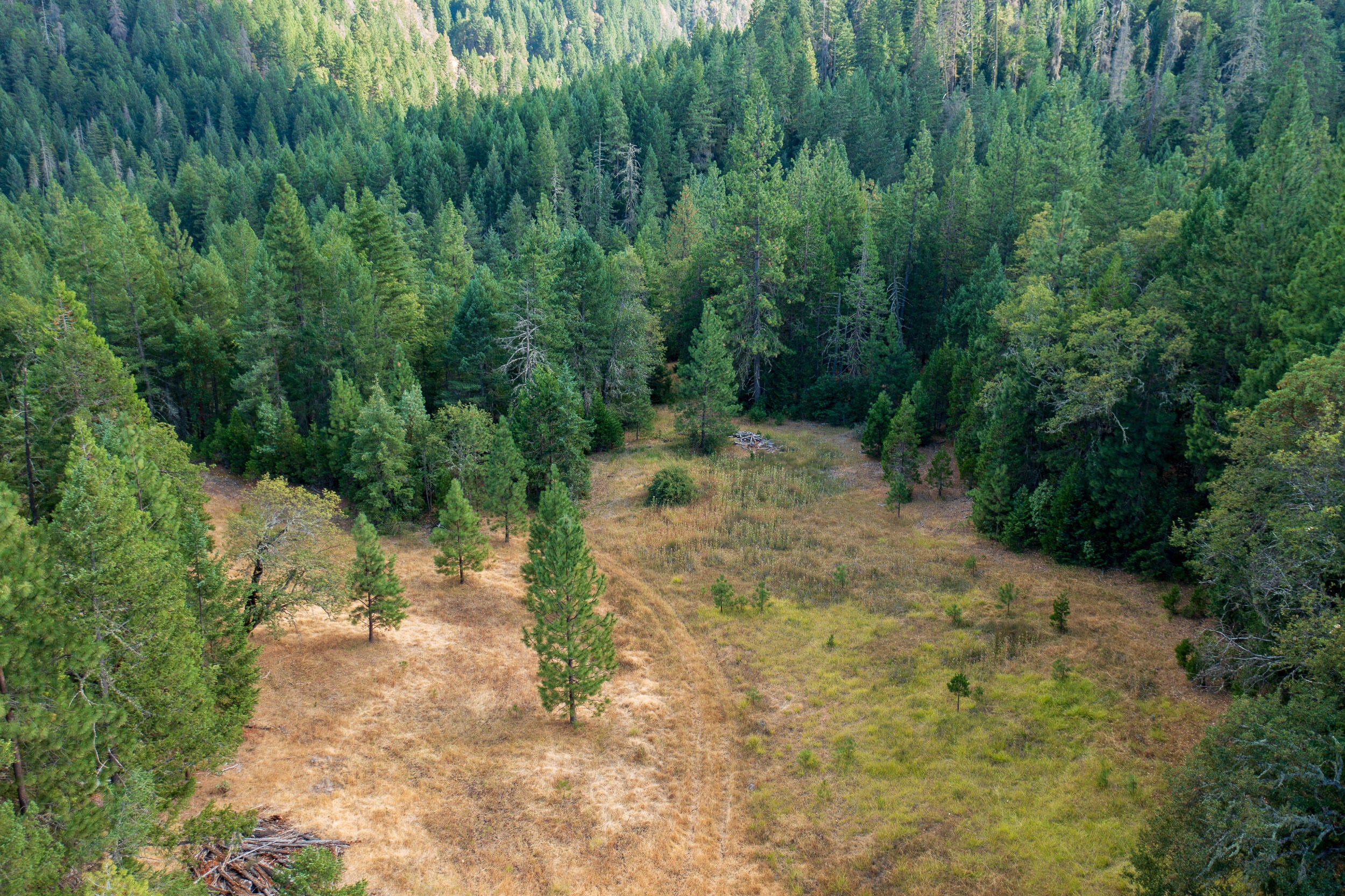 0 Buckhorn Springs Road Ashland, OR 97520 - Photo 7 of 39 Final (8)