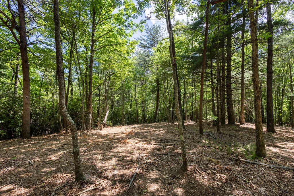 4.0-acre Donley Road Murphy, NC 28906 - Photo 8 of 15