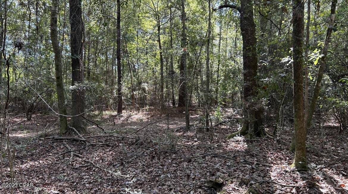 0 Grady Baggett Road Baker, FL 32531 - Photo 15 of 28